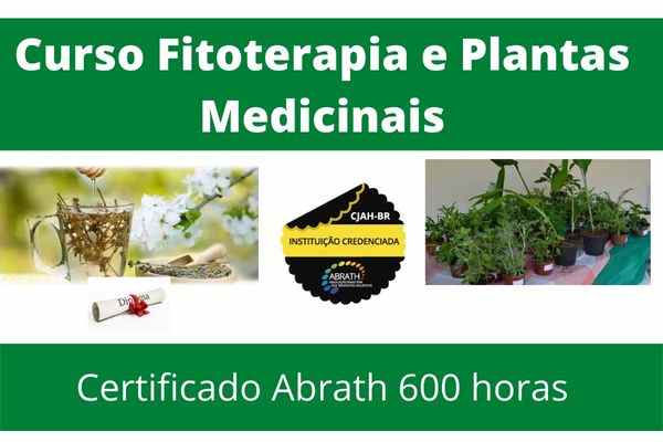 Curso Terapeuta em Fitoterapia
